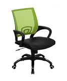 Flash furniture Green Mesh Office Chair with Black Leather Seat, CP-B176A01-GREEN-GG