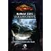 Cthulhu: Berge des Wahnsinns, Kampagnenband 2: Die geheimnisvolle Stadt