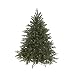 GKI Bethlehem Lighting Hunter Full 4-1/2-Foot Christmas Tree Prelit with Clear Lights