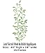 Wallpaper York (33161) RoomMates Leaf Scroll Peel & Stick Appliques RMK1164GM