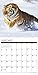 2016 Tigers Wall Calendar
