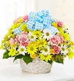 New Baby Basket