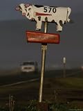 Cow Mailbox Neat Tillamook, Oregon Artists Photographic Poster Print by Phil Schermeister, 18x24
