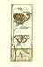 Tandem Butterflies III by Jennifer Goldberger. Size 9.46 inches width by 23.87 inches height. High Quality Art Poster Print