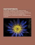 Gnathostomata: Acanthodii, Chondrichthyes, Osteichthyes, Placodermi, Tetrapoda, Dunkleosteus, Amniota, Stegocephalia, Ichthyostega, Pederpes (Spanish Edition)