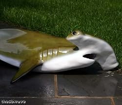 Giant Taxidermy Hammerhead Shark Fiberglass Wall Mount