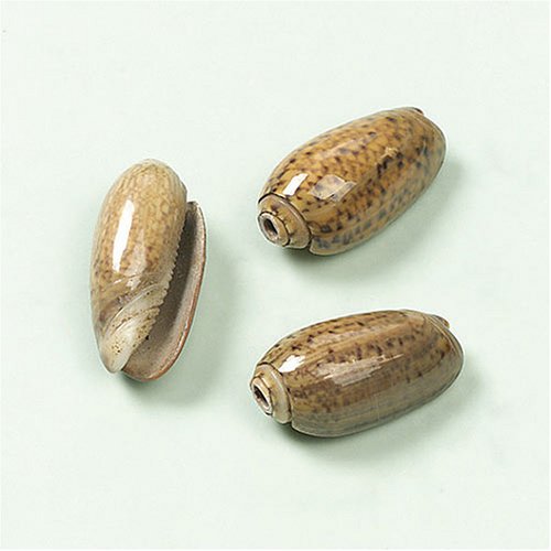 G&uuml;termann / KnorrPrandell 6079130 - Muschel geschlossen 22x10mm,10 St&uuml;ck/Beutel Preisvergleich