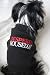 Dog T-shirt 