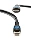 BlueRigger High Speed HDMI Cable with Ethernet - Supports 3D and Audio Return [Latest Version] (10 Feet, Black)