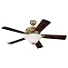 Westinghouse 7231665 Silverdale Energy Star One-Light 52-Inch Five-Blade Ceiling Fan, Polished Brass with Frosted Glass Globe
