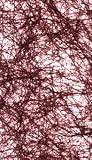 Eigenschaften Lenz / Sizoflor Vliesband Bordeaux, 80mm breit, 3 Meter