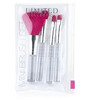 Limited Collection Mini Brush Kit