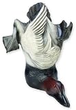 Canvasback Doorstop