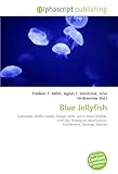 Blue Jellyfish-