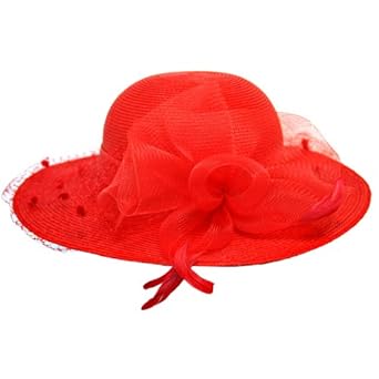 Red Fancy Church Hat With Mesh Netting & Feathers