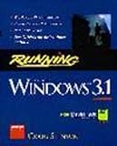Running Windows 3.1
