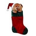 Bear Plush Animal Stocking - 21"