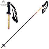 Life-Link Variant Approach Ski Pole - 1 Pair