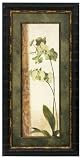 First of two-part botanical framed print series