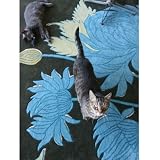 Amy Butler Chrysanthemum Wool Rug