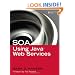 SOA Using Java  Web Services