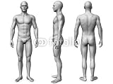 Wallmonkeys Peel and Stick Wall Decals - Male Body - Removable Graphic
