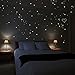 Wandkings® Wall Stickers A Night Lit Up with 250 Hearts Glow-in-The-Dark
