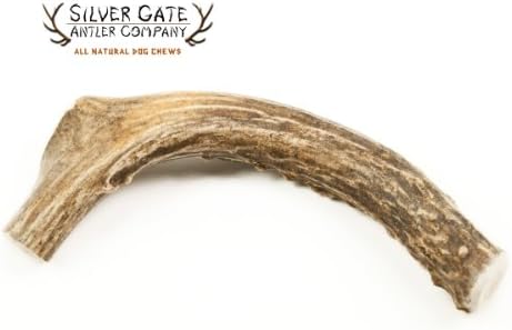 Silver Gate Antlers Antlers for Dogs - Deer Chew Bone Medium 4.5 to 6 Inch - Dog Bone Chew Toys for Aggressive Chewers - USA Made Long Lasting All Natural Deer and Elk Antler Dog Chew Bones