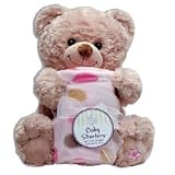 Baby Starters Baby Pink Microfleece Blanket with Plush Bear Gift Set by Baby Starters