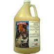 Cardinal Laboratories Gold Medal Coco Magic Conditioning Shampoo (20:1) 1gal.