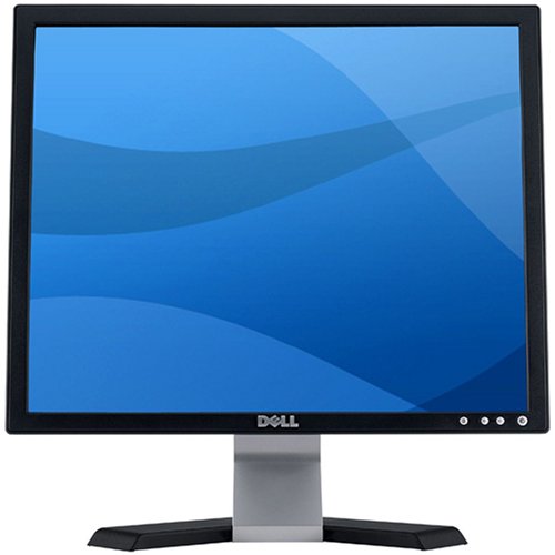 Dell e197fp 19-inch LCD Flat Panel Monitor