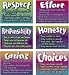 POSTER PK CHARACTER TRAITS 6/PK