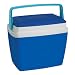 Thermos Cool Box, 28 L