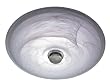 Hunter Low Profile Bathroom Fan with Light, Brushed Nickel and Satin White #90056