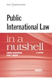 Public International Law in a Nutshell
