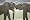 Unsere Erde [Blu-ray]