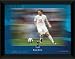 Spurs Robbie Keane 8x6 Framed Motion Desktop Photograph, Tottenham Hotspur FC.