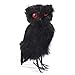Standing Black Feathered Artificial Owl with Attached Wire on Feet