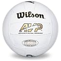 Wilson Leather AVP Beach Volleyball