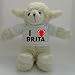 Bild: Wei�es Schaf Pl�schtier mit T-shirt mit Aufschrift Ich liebe Brita