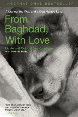 from baghdad with love a marine the war and a dog named lava