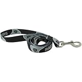 NFL Oakland Raiders 6' Black Pet Leash