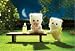 Calico Critters Persian Cat Twins