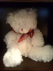 Back to Basics White Teddy Bear