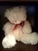 Back to Basics White Teddy Bear