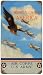 US Army Air Corps Wings Over America Sign