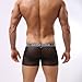 Dominik Men's Sheer Mesh See-Through Boxer Trunks