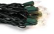 Bethlehem Lighting Indoor/Outdoor Miniature 100-Light Set, Clear with Green Wire