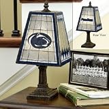 Penn State Nittany Lions 14