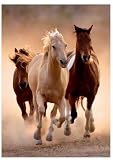 Clementoni 39168.4 - Puzzle 1000 teilig Running horses